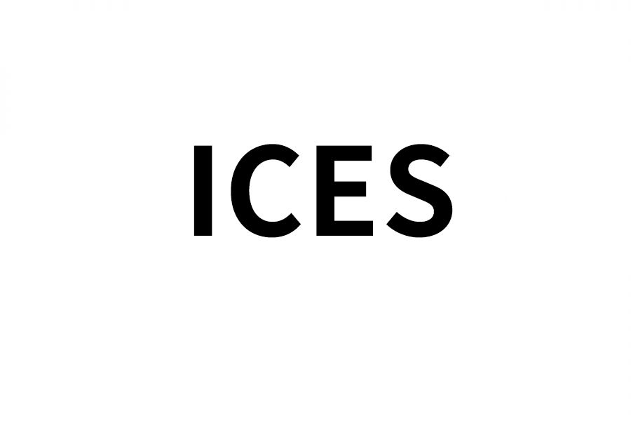 ICES认证